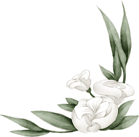 white flower 2.png