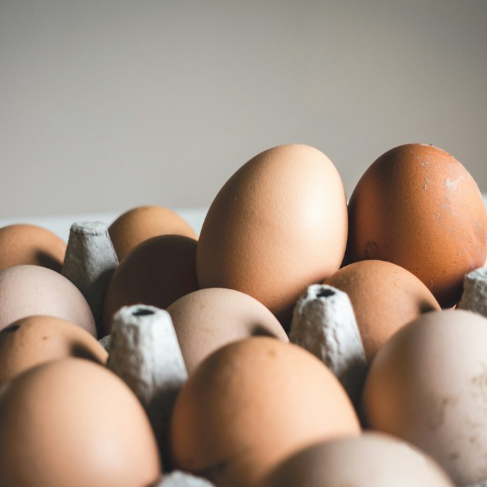 EMP Eggshell Membrane Protein skincare ingredient