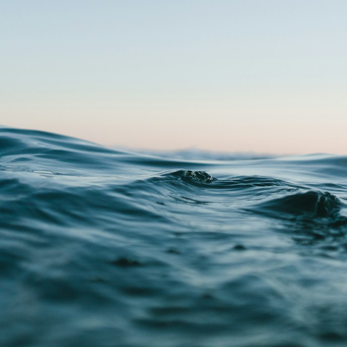 Marine collagen and marine elastin skincare ingredient